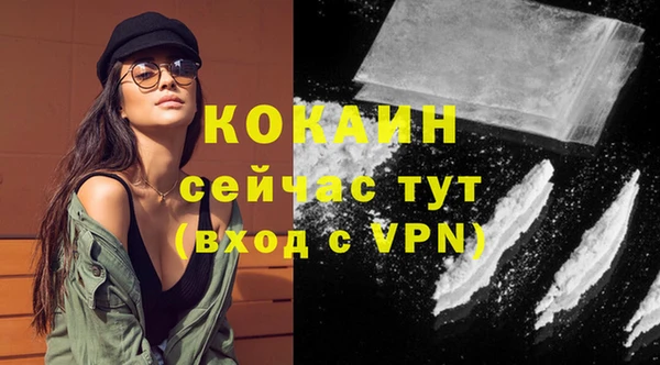дмт Козельск