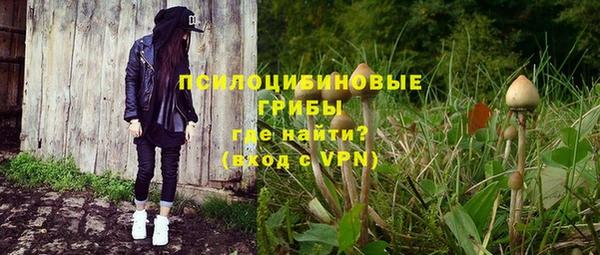 дмт Козельск